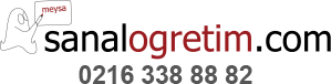 Sanal Öğretim Logo