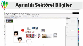 Ayrintili Sektör Bilgileri