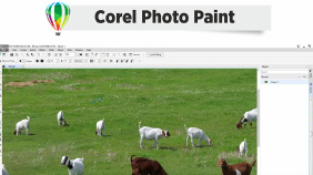 Corel Photo Paint