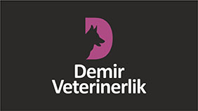 Logo Çizimi