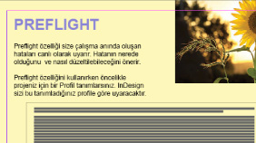 Preflight Nedir