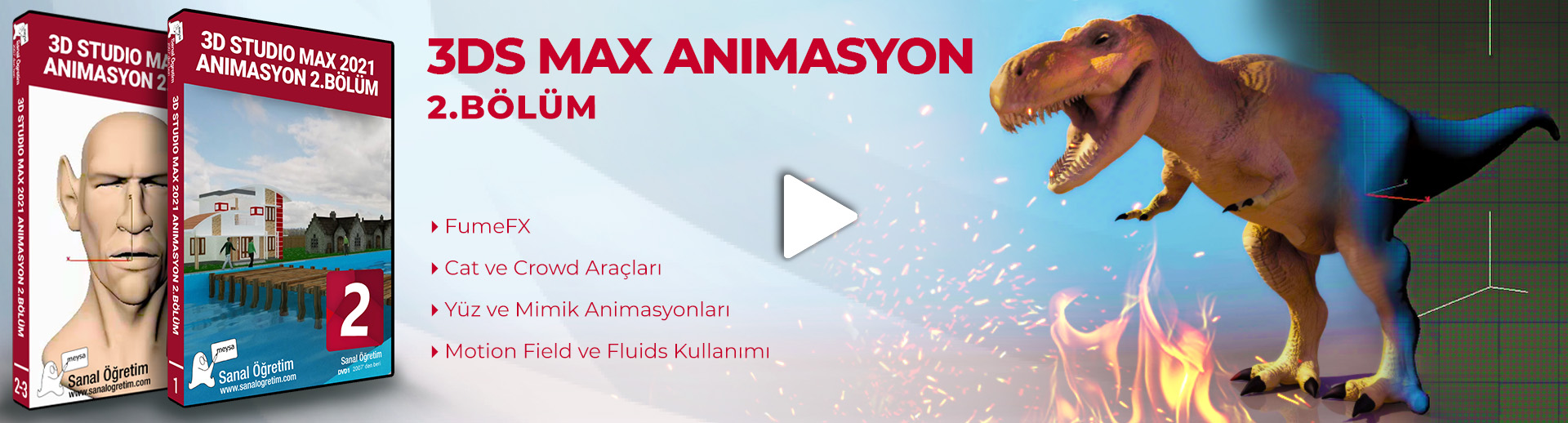 3DS Max Animasyon 2.Bölüm FumeFX,  Motion Fields, Fluids