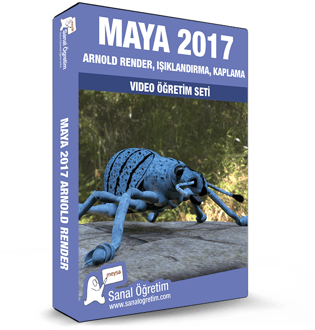 Maya 2017 Arnold Render, Işıklandırma, Kaplama