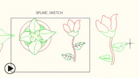 Spline ve Sketch