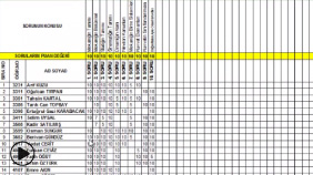 AutoCAD de Bağımlı ve Bağımsız Excel Tablosu