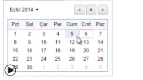 HTML date ( tarih ) Yapısı ve Kullanımı