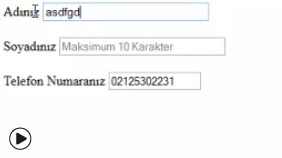 HTML de input Etiketi text Yapısı