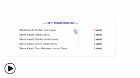 Blog Sitesi Site İstatistikleri ve Yönetim Paneli Final Hali