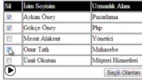 Çoklu Kayıt Silme Uygulaması