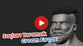 Saçları Taramak - Groom Fırçası